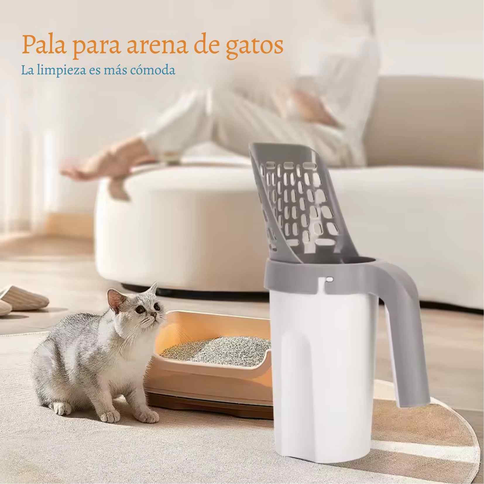 Encabezado